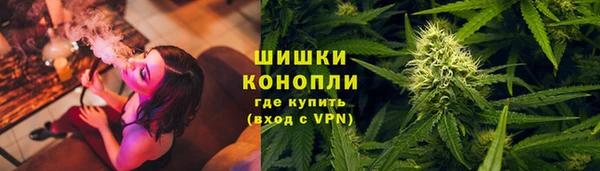 спиды Новозыбков