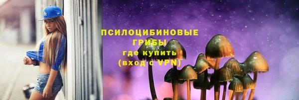 спиды Новозыбков