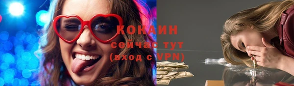 спиды Новозыбков