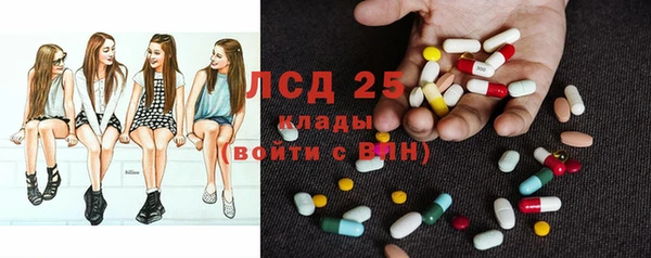 спиды Новозыбков