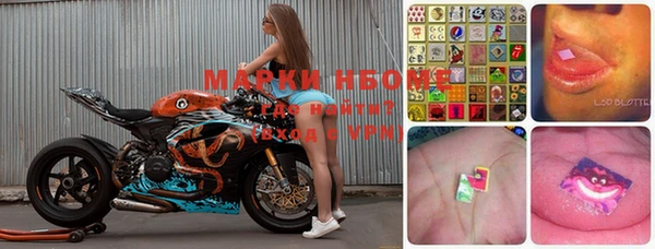 спиды Новозыбков