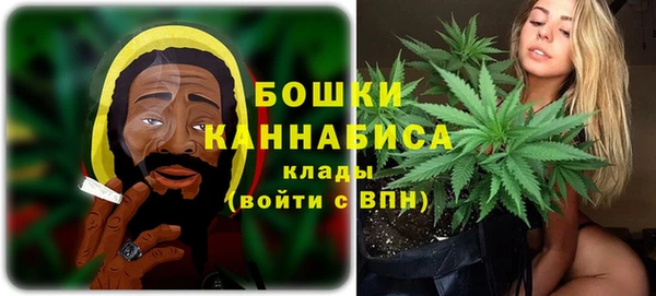 спиды Новозыбков